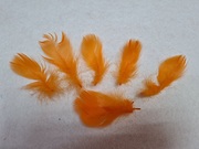 Перо лебедя PPL5-13-31 (оранжевый) Цена за 10 шт