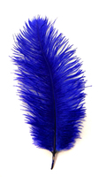 Перо страуса PRK30-35-11 (синий)