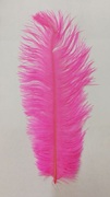 Перо страуса PRK25-30-34 (розовый) Цена за 5 шт
