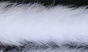 Боа из перьев марабу BOAM20-1 (белый) 2метра