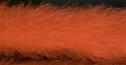 Боа из перьев марабу BOAM15-59 (коралл) 